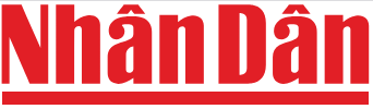 Báo Nhân dân viết về Hoa Tươi Bất Tử Cố Đô